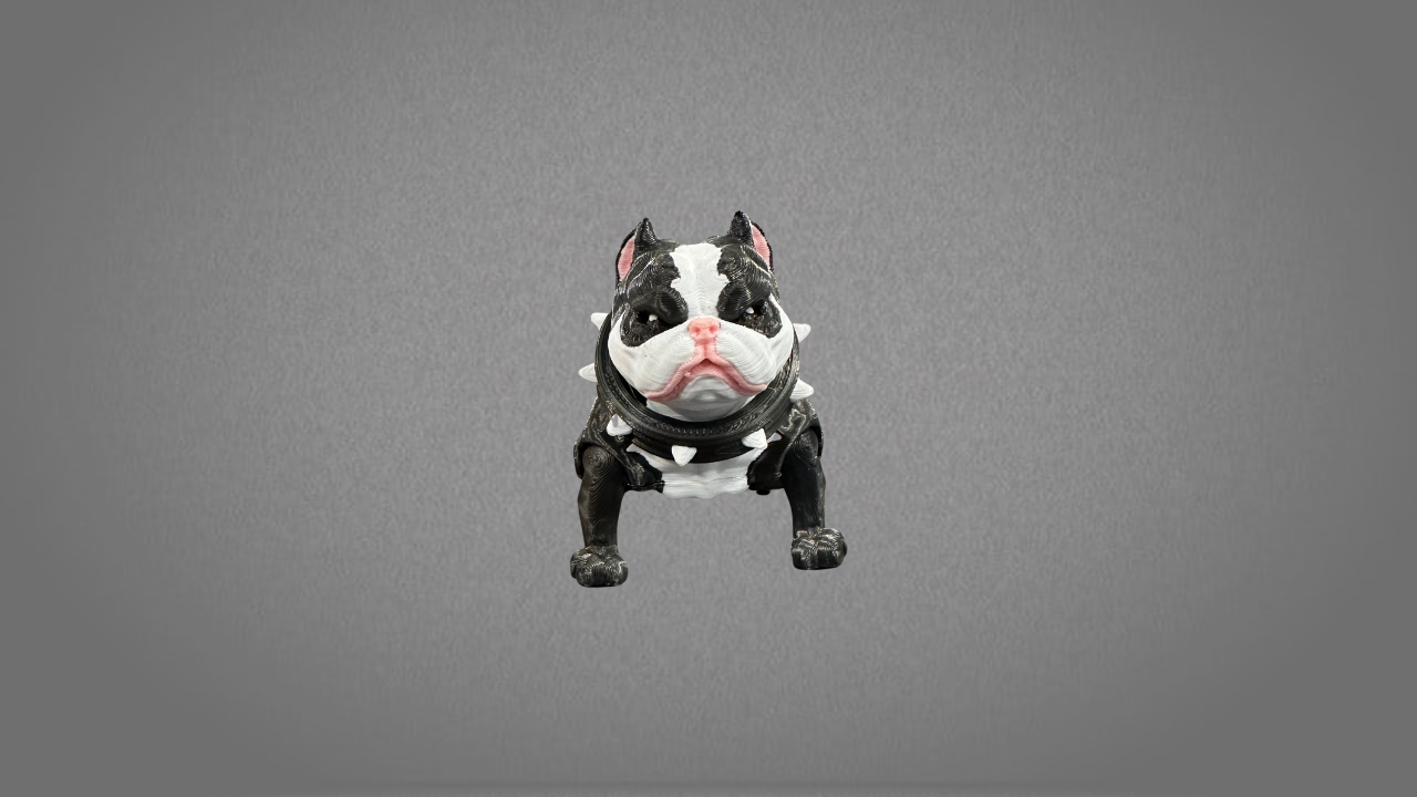 American Bully Grande - Image 7