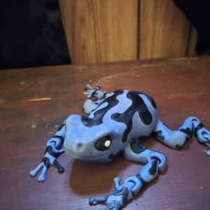 Darcy, the Poison Dart Frog