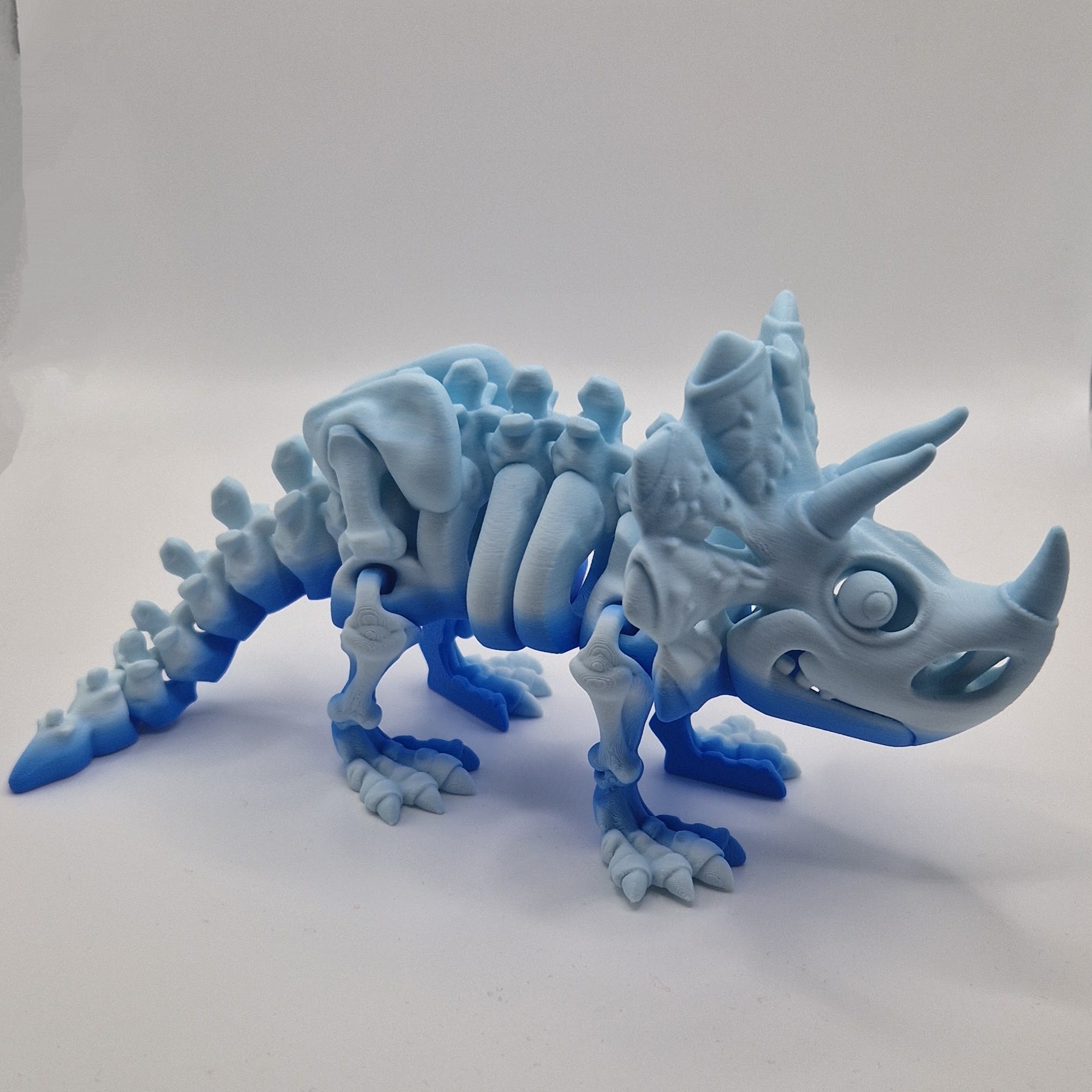 Triceratops Skeleton