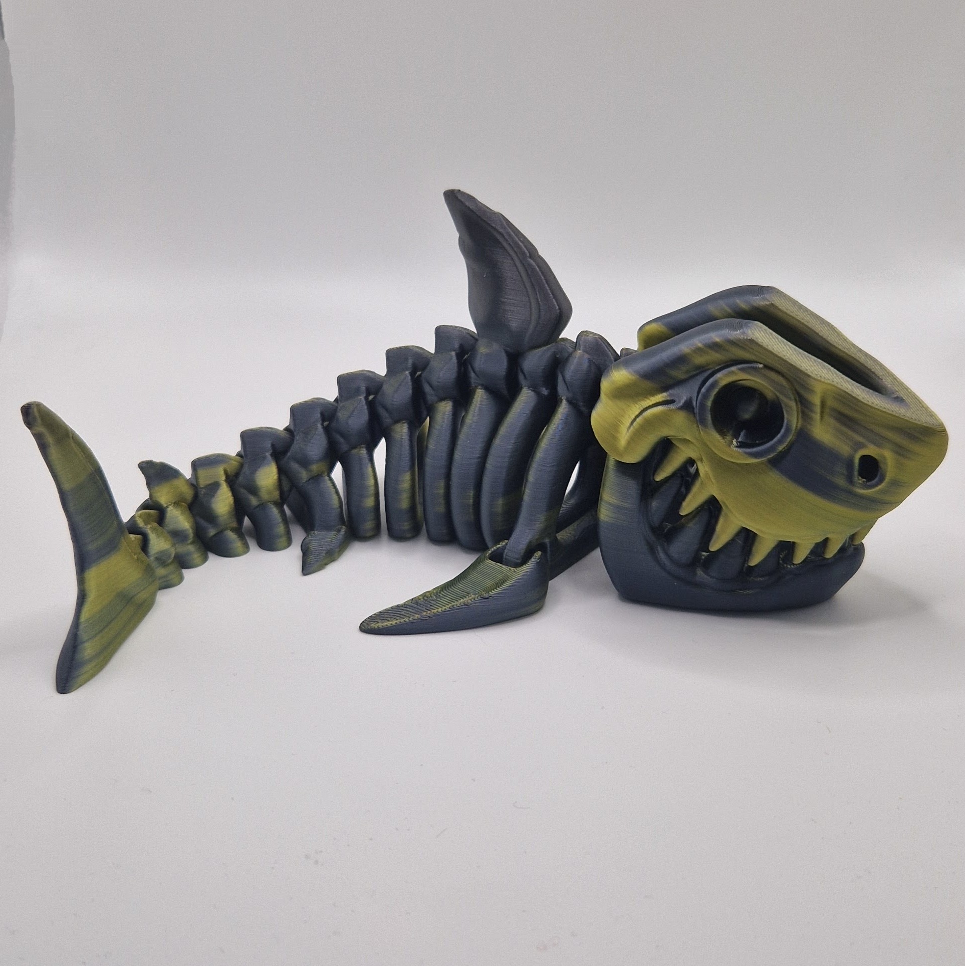 Shark Skeleton - Image 4