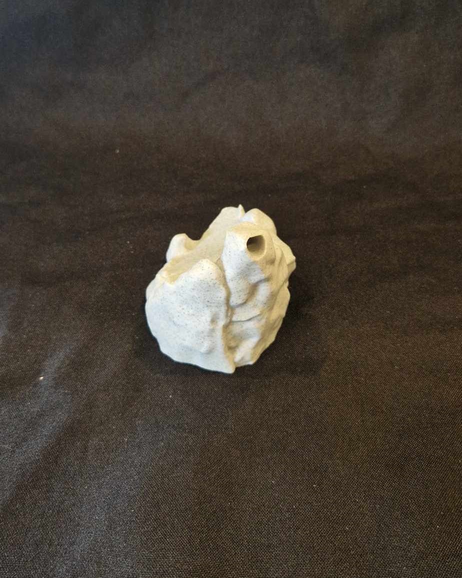 Rocher pour raie manta articulée - Image 2