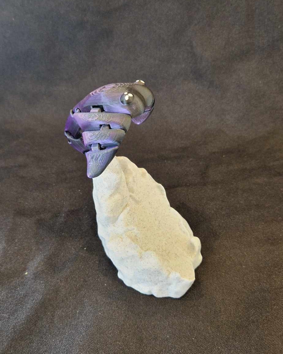 Rocher pour raie manta articulée - Image 4