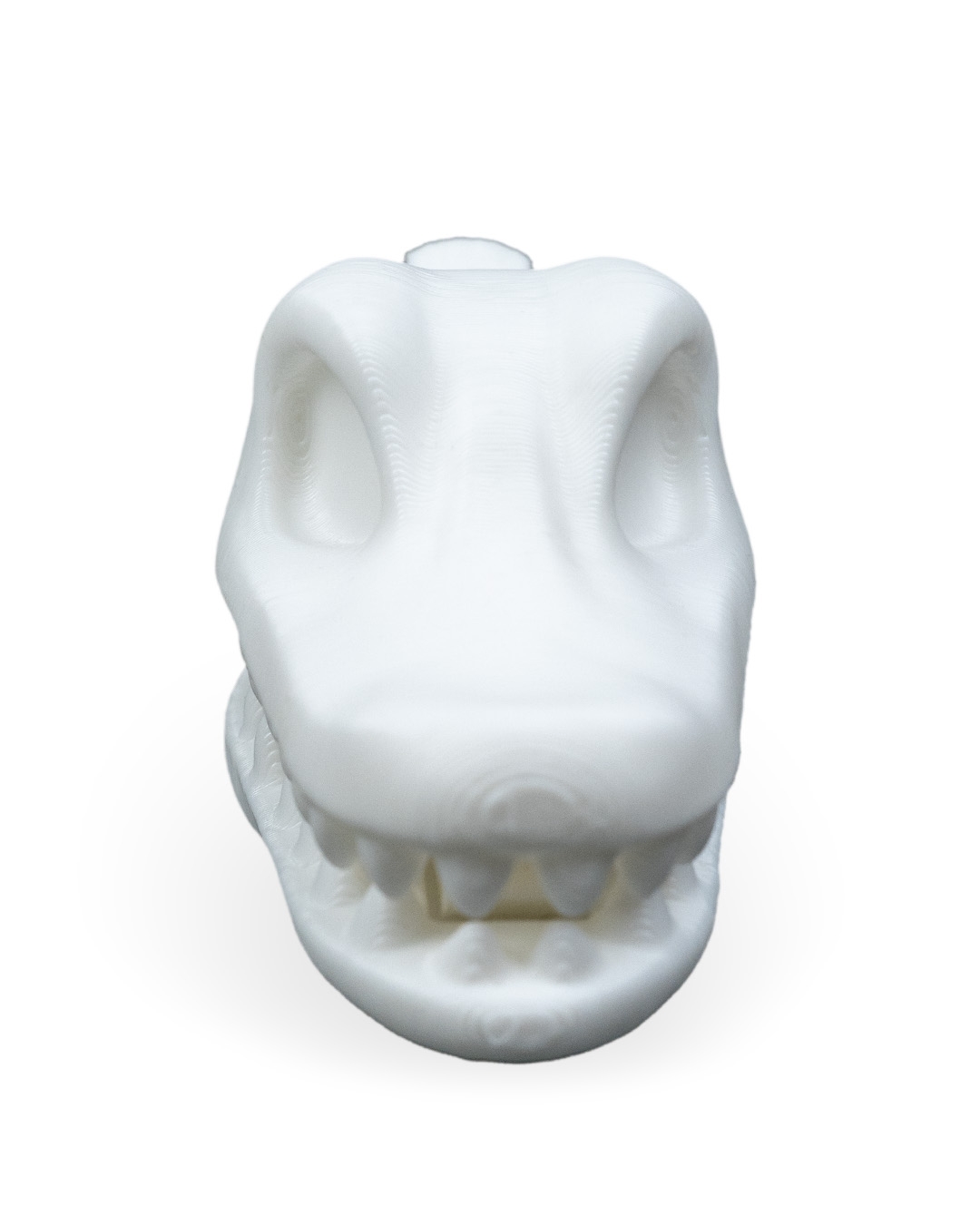 Prendedor de jacaré - Image 10