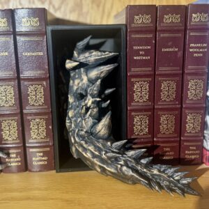 Dragon Tail Book Nook - Painted
