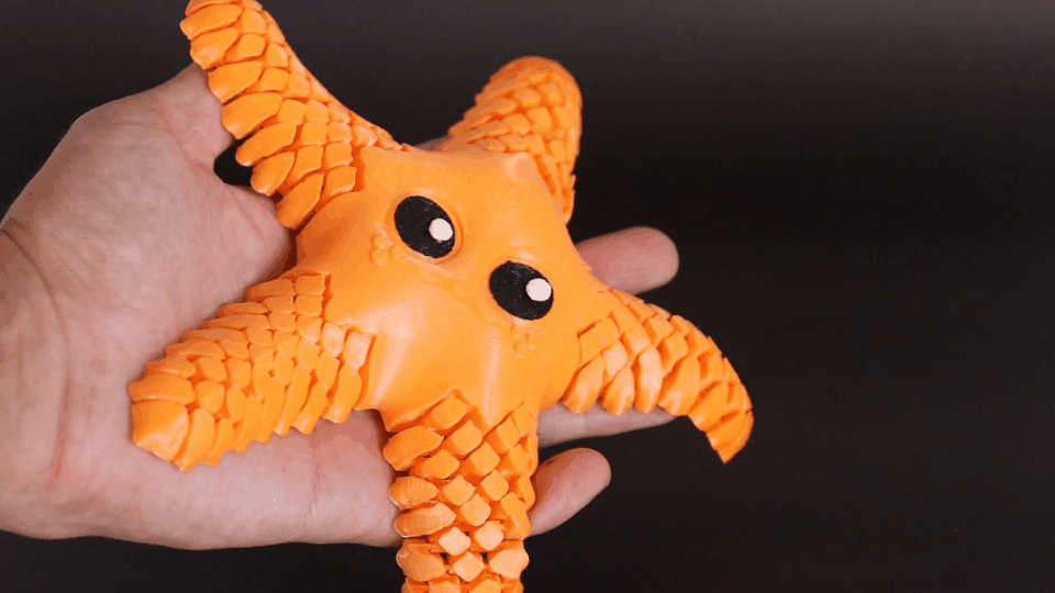 Estrela do mar articulada - Image 4