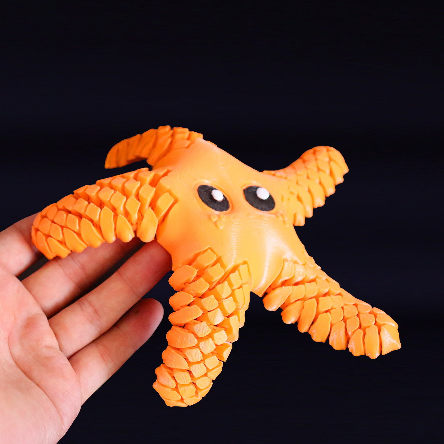 Estrela do mar articulada - Image 2