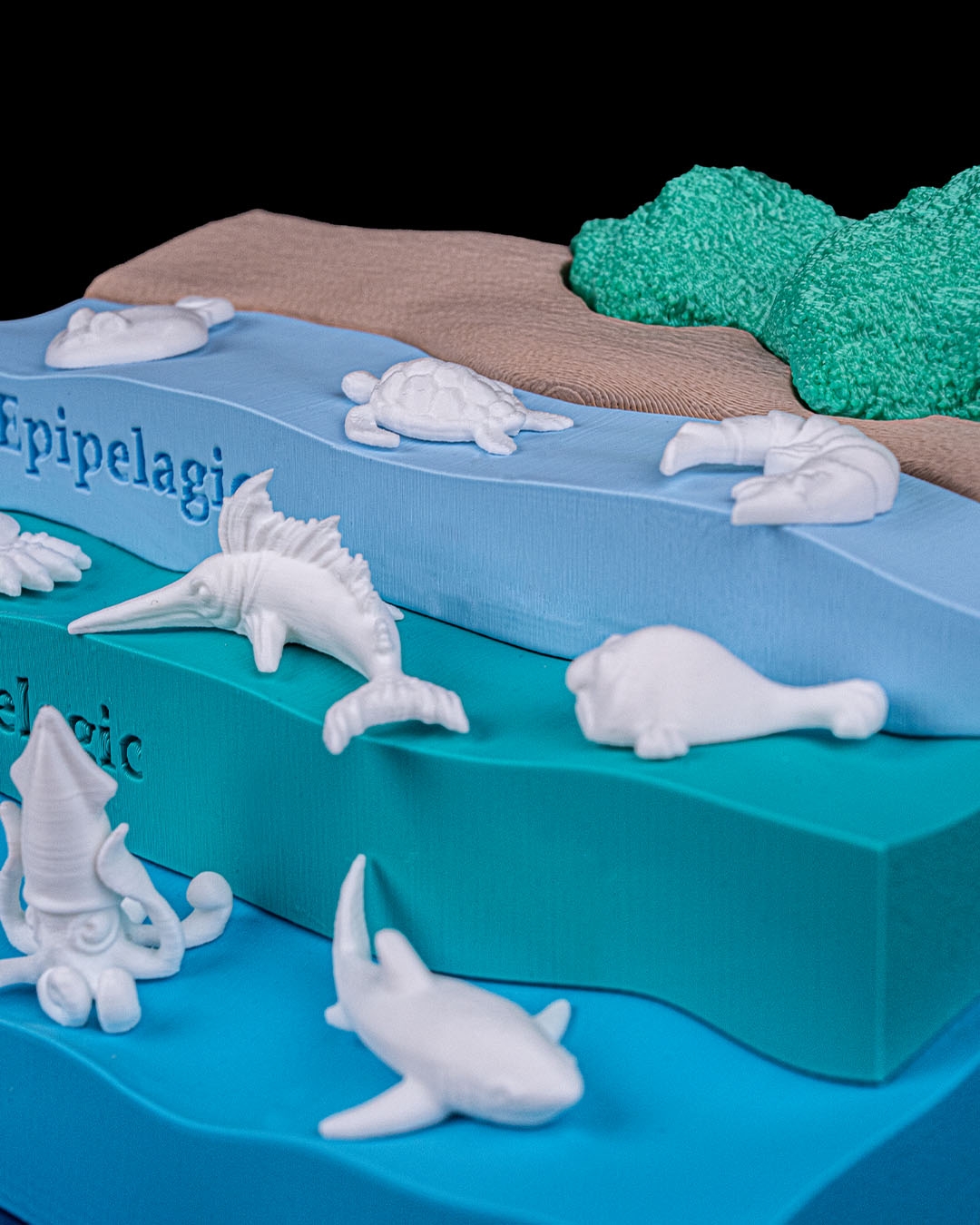 Sea Through - Image 7