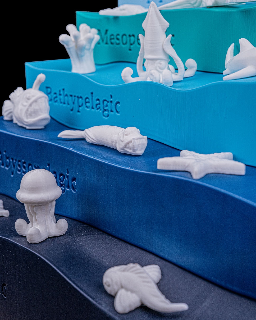 Sea Through - Image 8