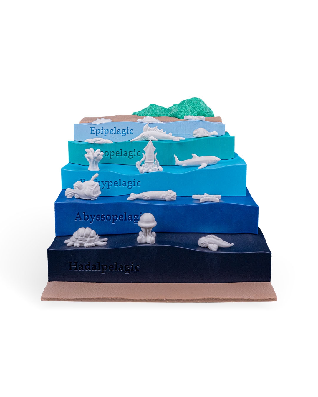 Sea Through - Image 11