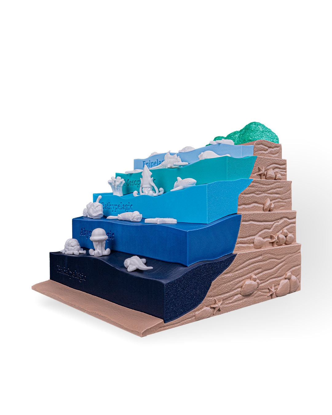 Sea Through - Image 15