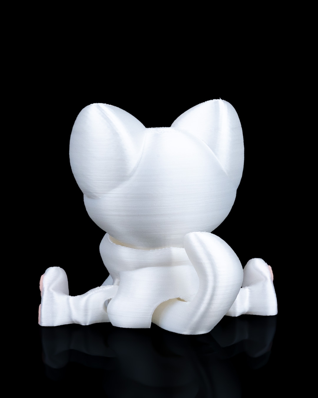 Curious Cat - Image 6