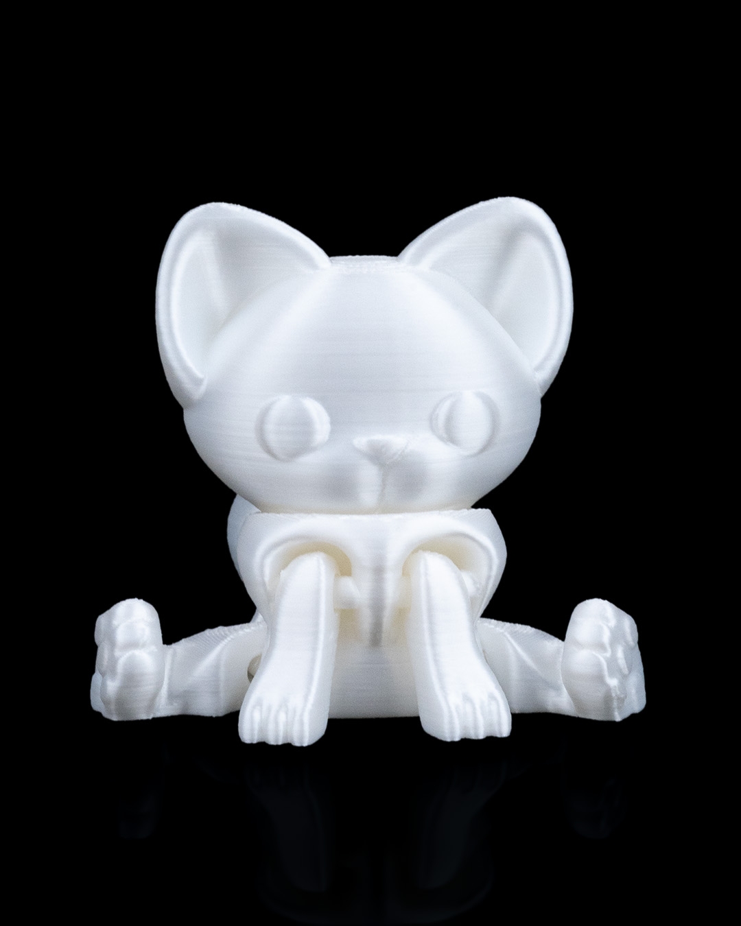 Curious Cat - Image 7