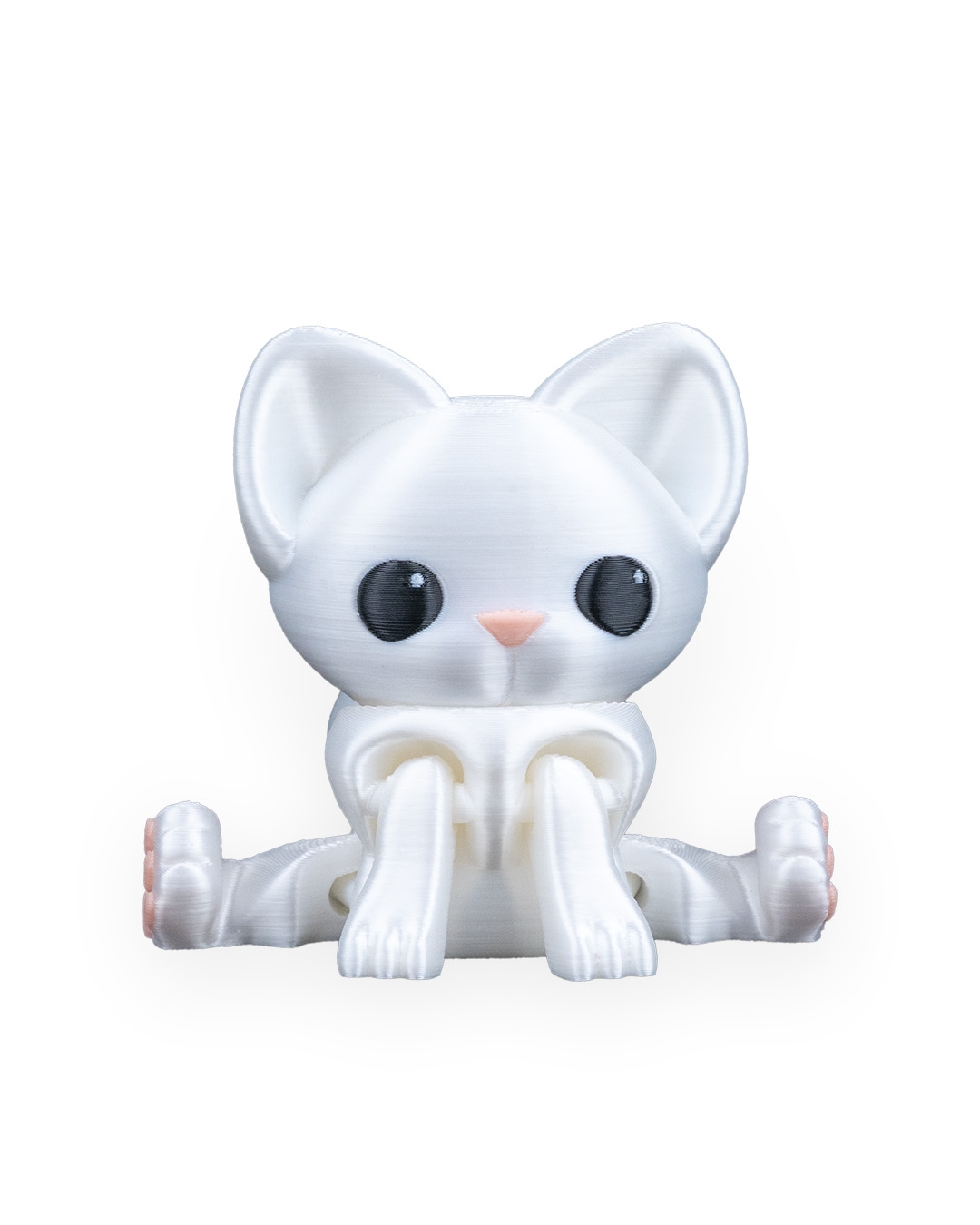 Curious Cat - Image 8