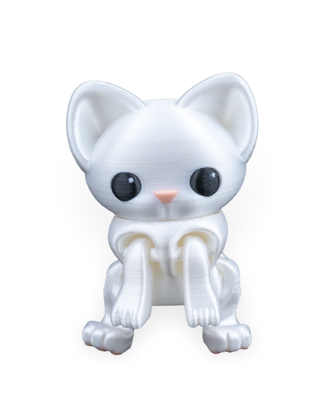 Curious Cat - Image 9