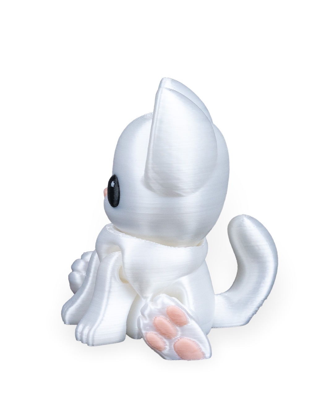 Curious Cat - Image 11