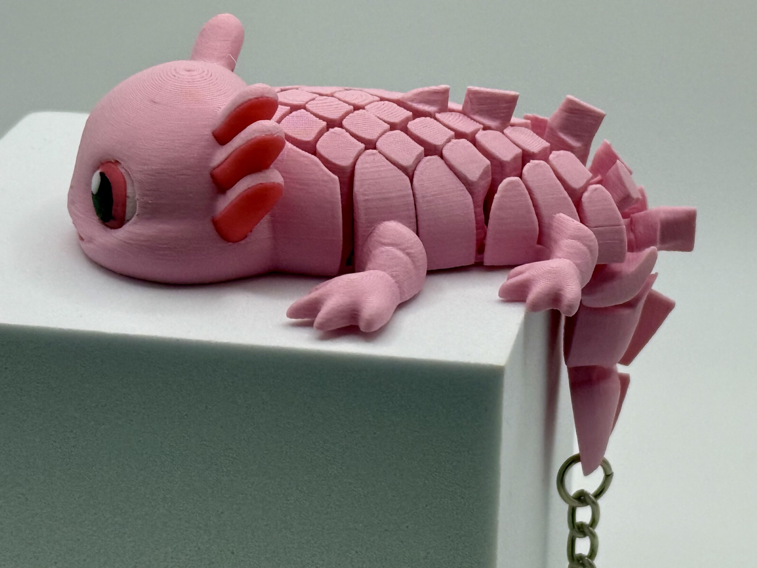 Ashley, the Axolotl - Image 4