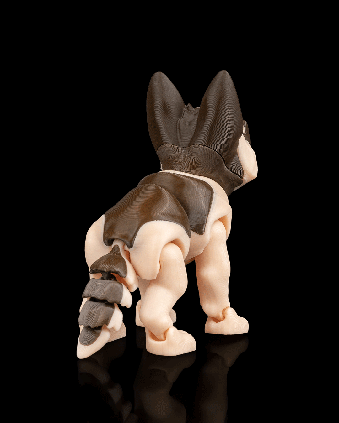 Jerry, the German Shepherd - Image 6