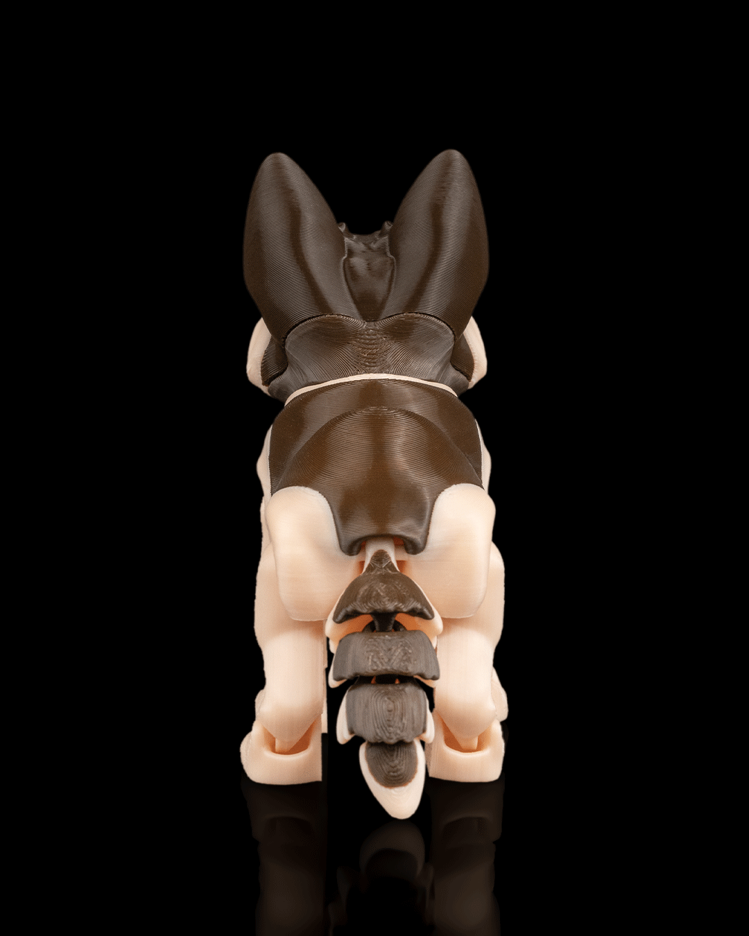 Jerry, the German Shepherd - Image 7