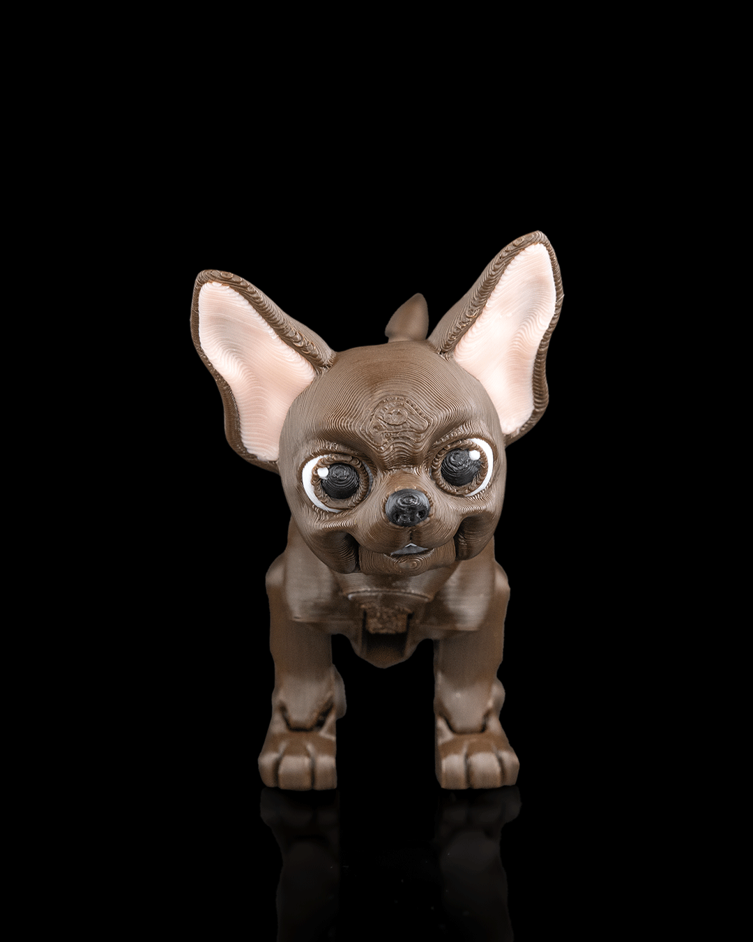 Lupe, the Chihuahua - Image 2