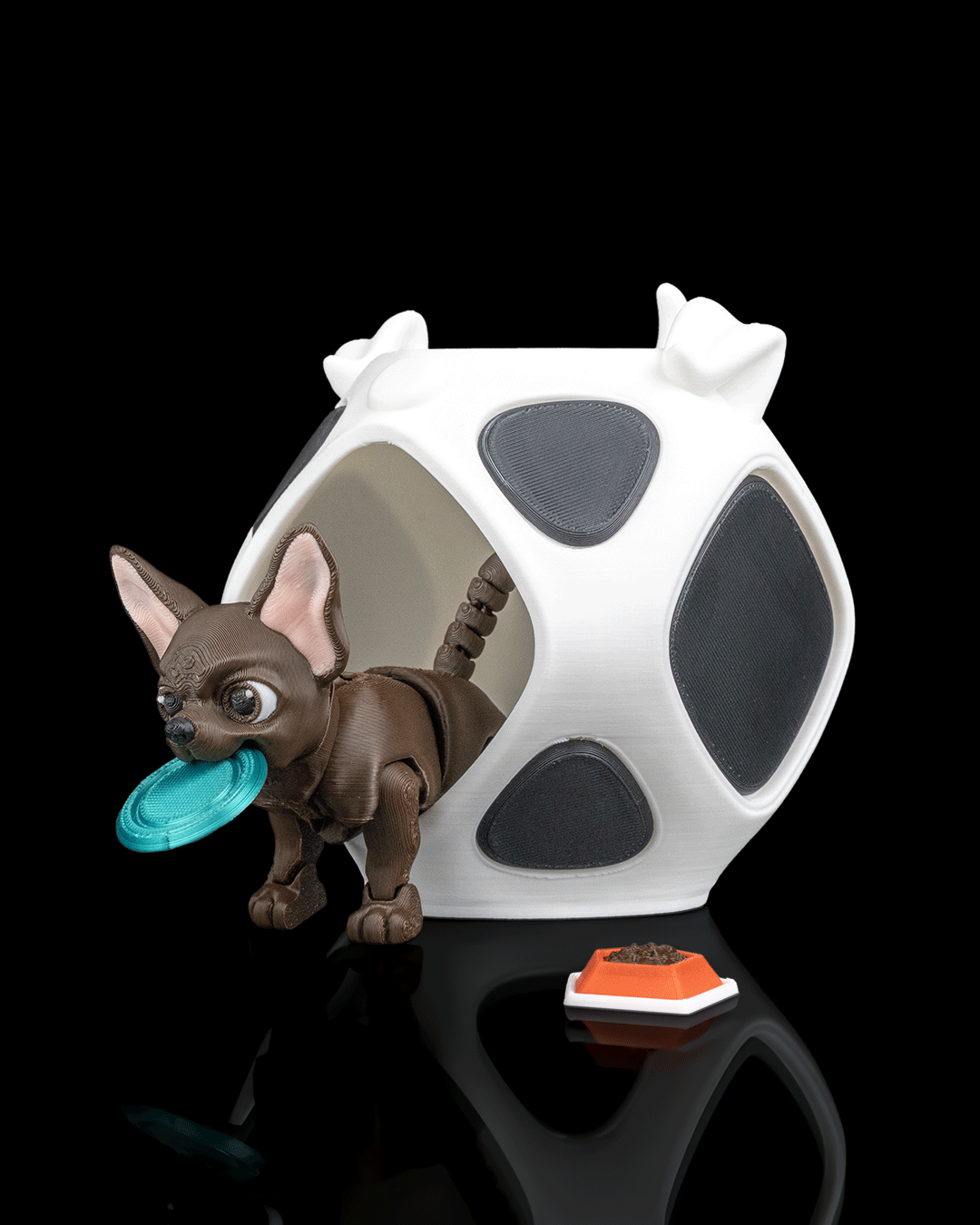 Lupe, the Chihuahua - Image 3