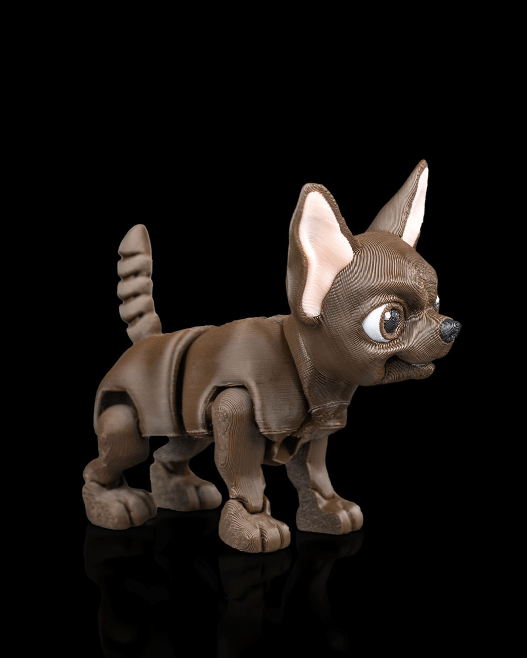 Lupe, the Chihuahua - Image 4