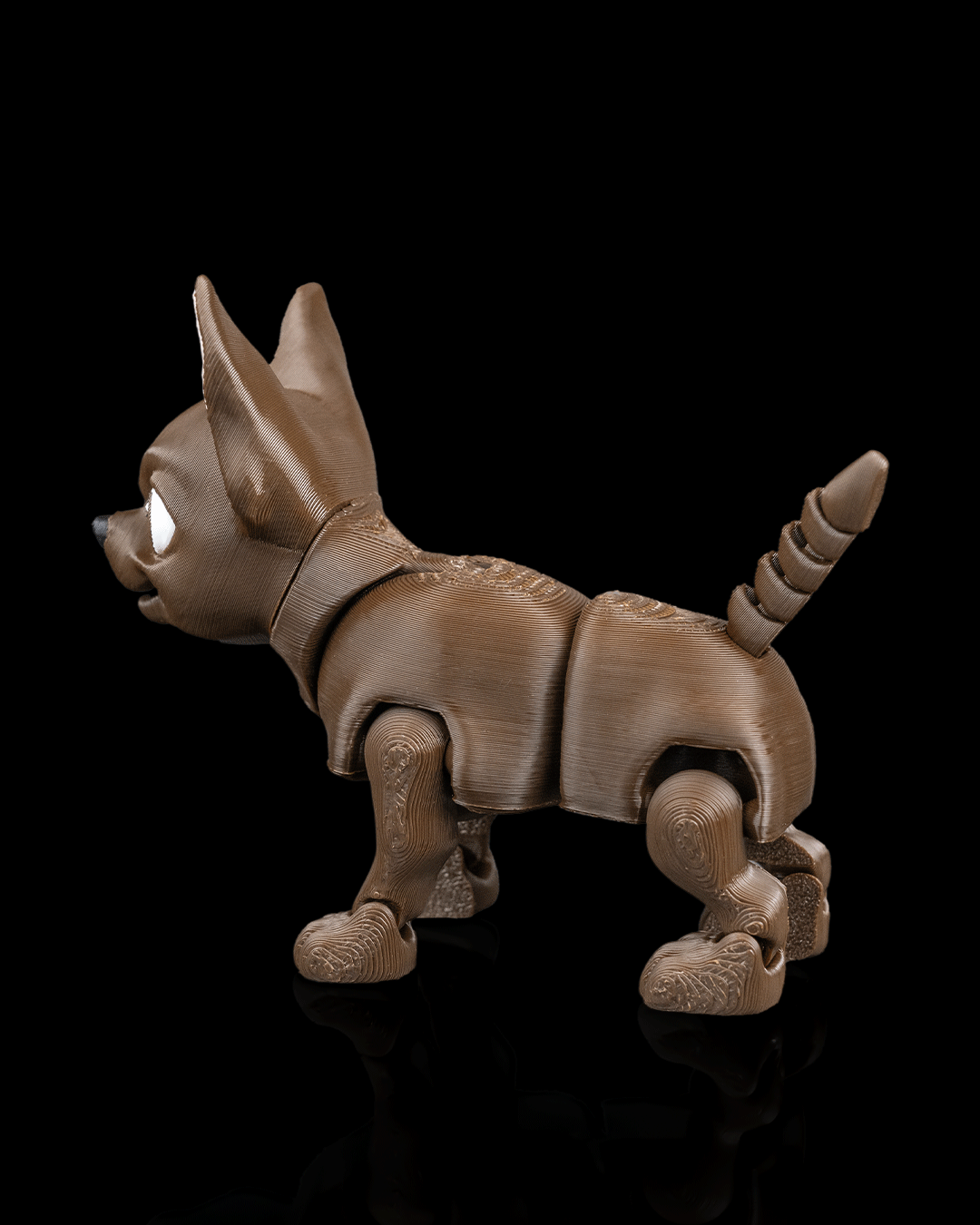 Lupe, the Chihuahua - Image 5