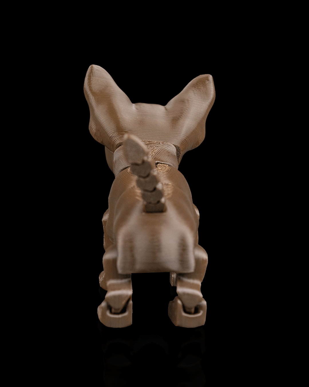 Lupe, the Chihuahua - Image 6