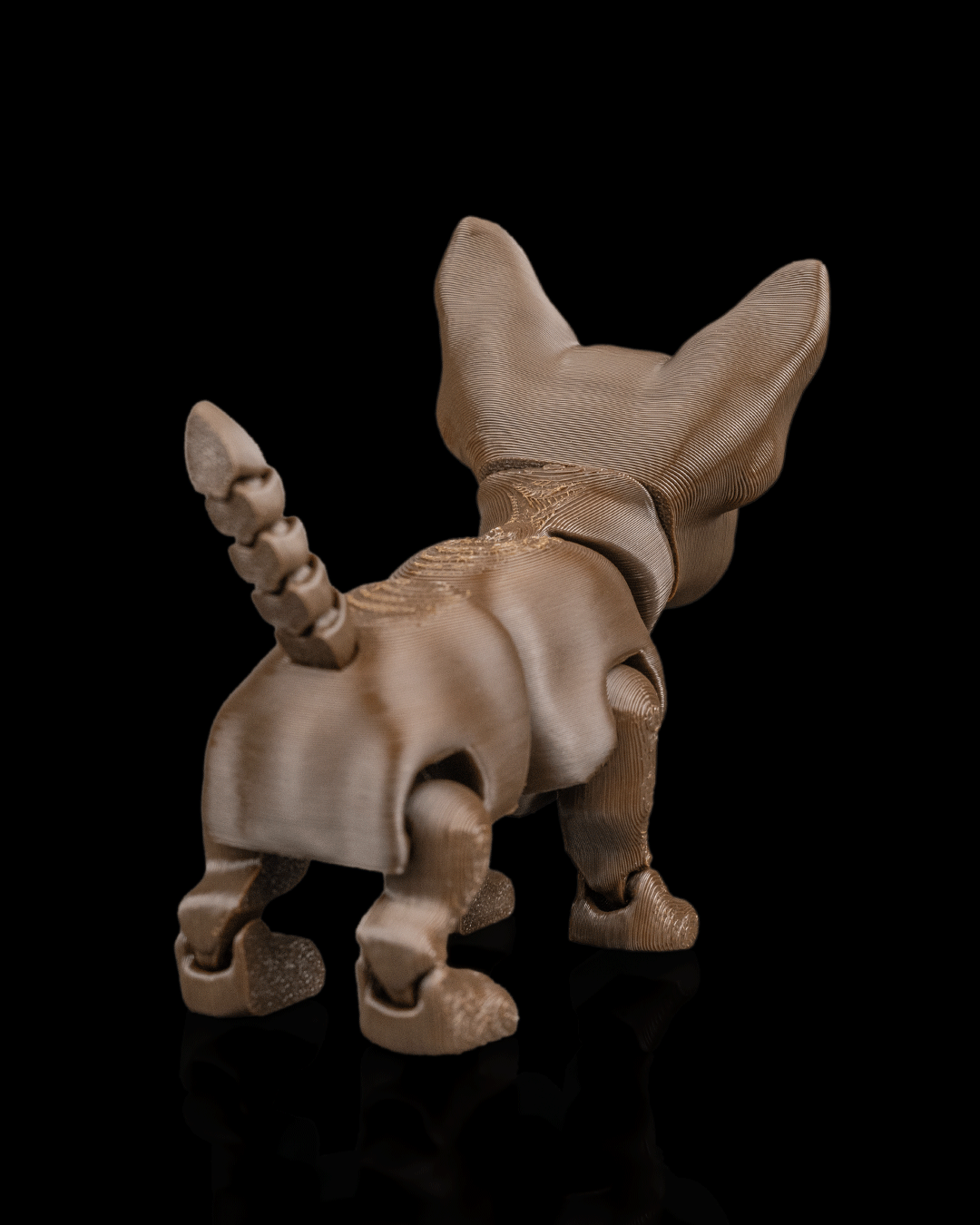 Lupe, the Chihuahua - Image 7