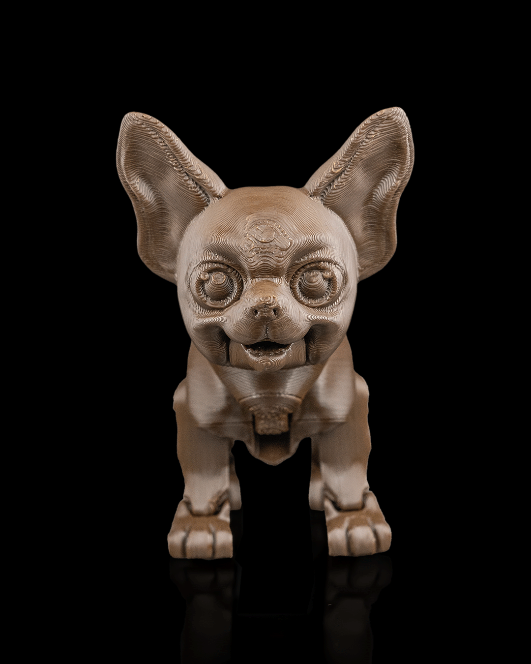 Lupe, the Chihuahua - Image 8