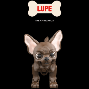 Lupe, the Chihuahua