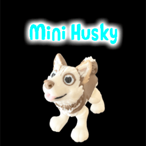 Mini Husky