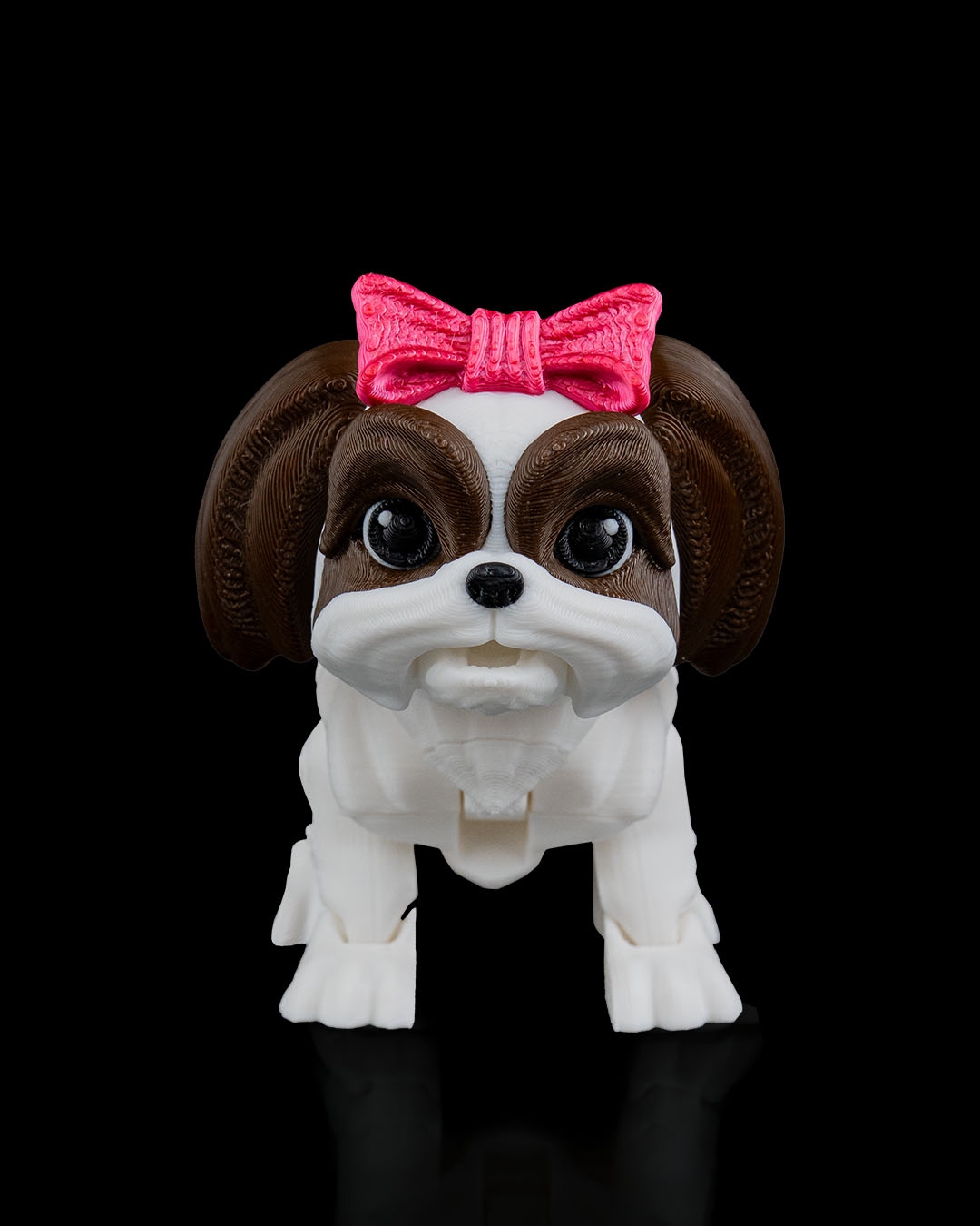 Rachel, the Shih Tzu - Image 4