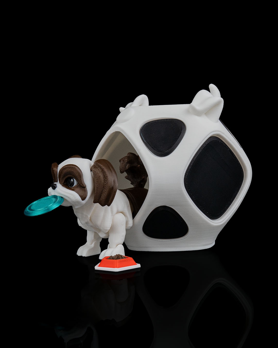 Rachel, the Shih Tzu - Image 6