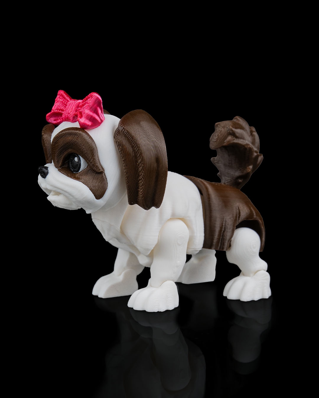 Rachel, the Shih Tzu - Image 7