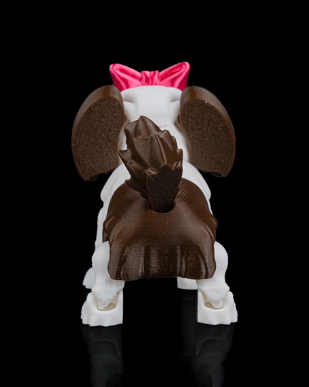 Rachel, the Shih Tzu - Image 8