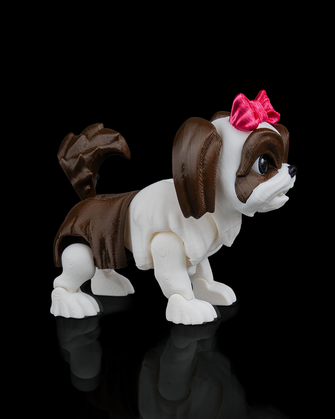 Rachel, the Shih Tzu - Image 9