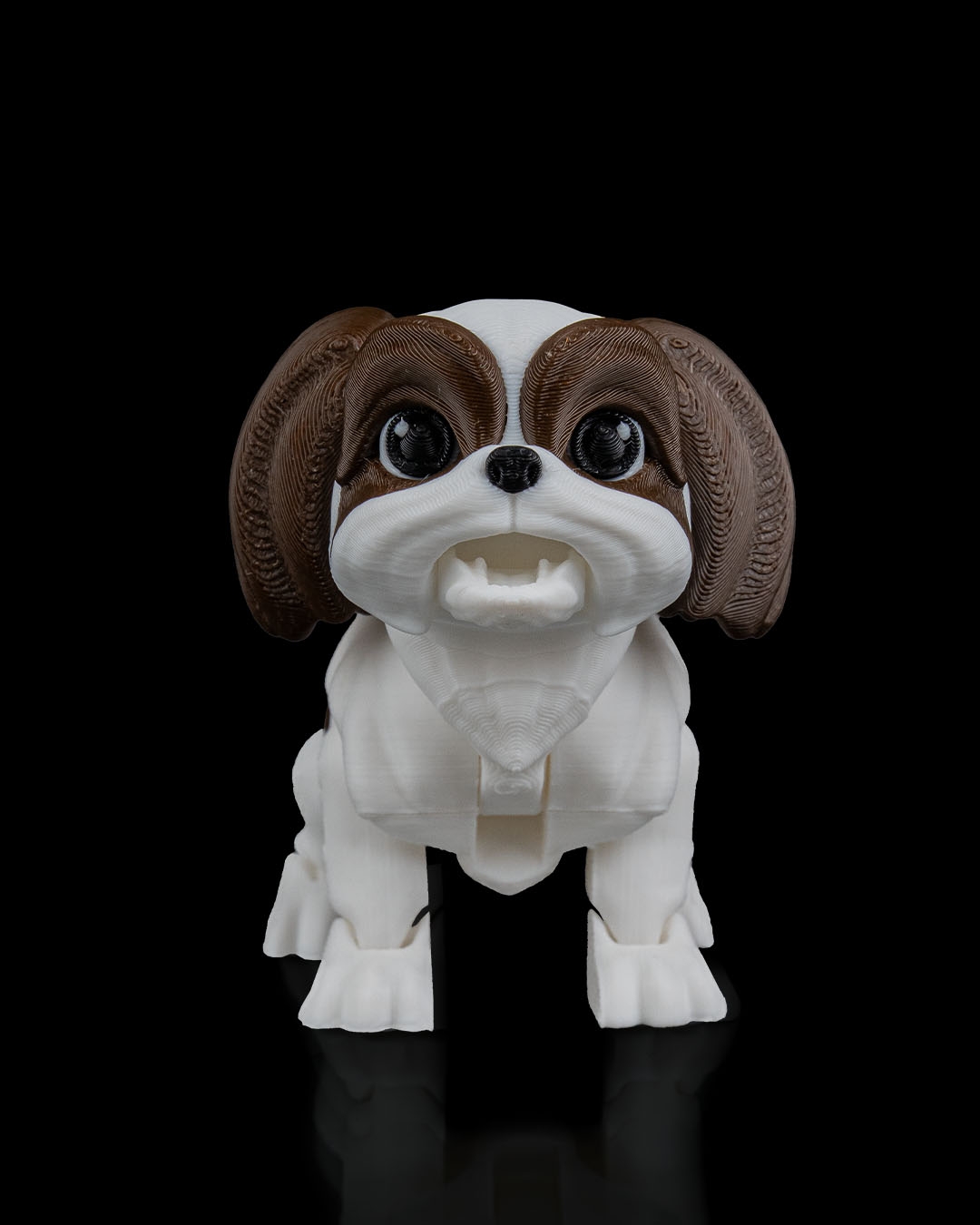 Rachel, the Shih Tzu - Image 10