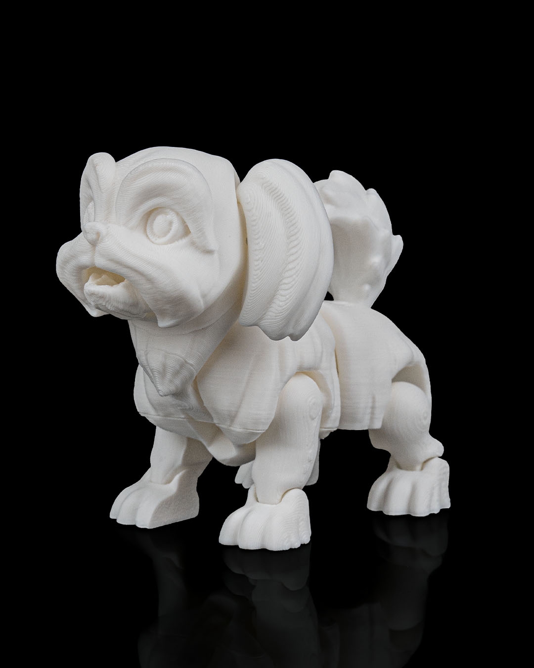 Rachel, the Shih Tzu - Image 11