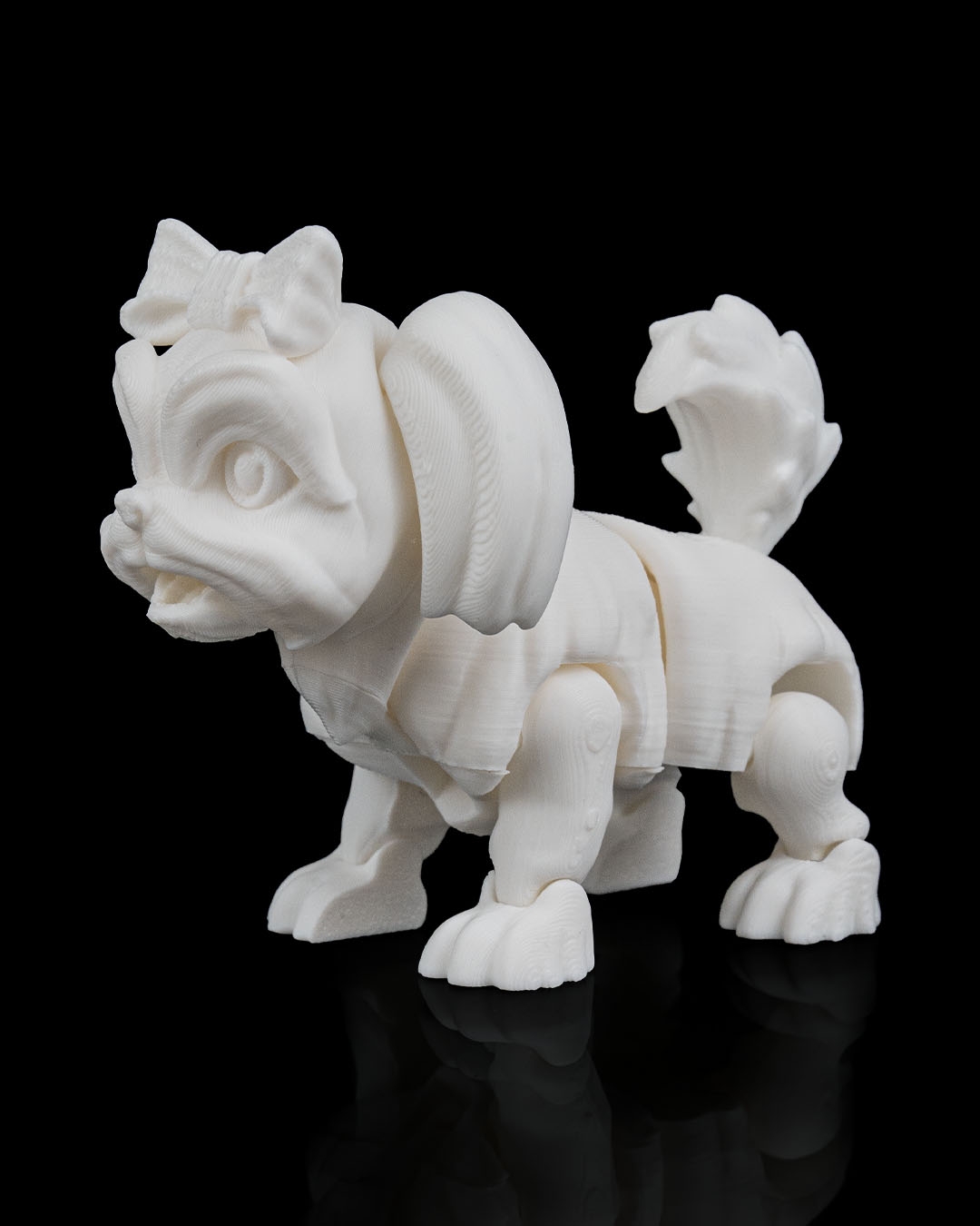 Rachel, the Shih Tzu - Image 12