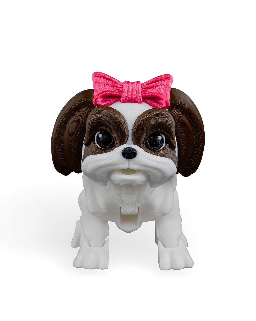 Rachel, the Shih Tzu - Image 13