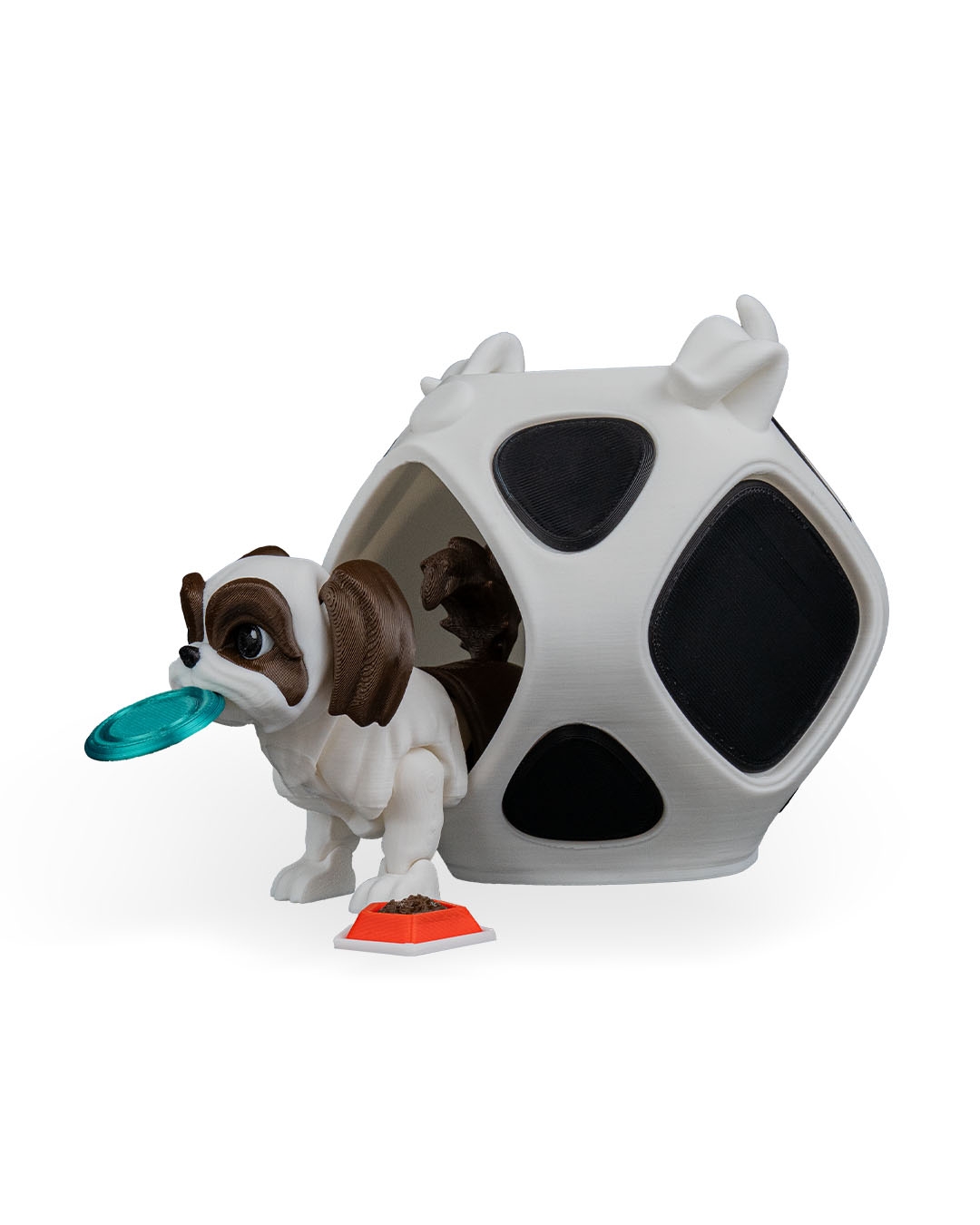 Rachel, the Shih Tzu - Image 15