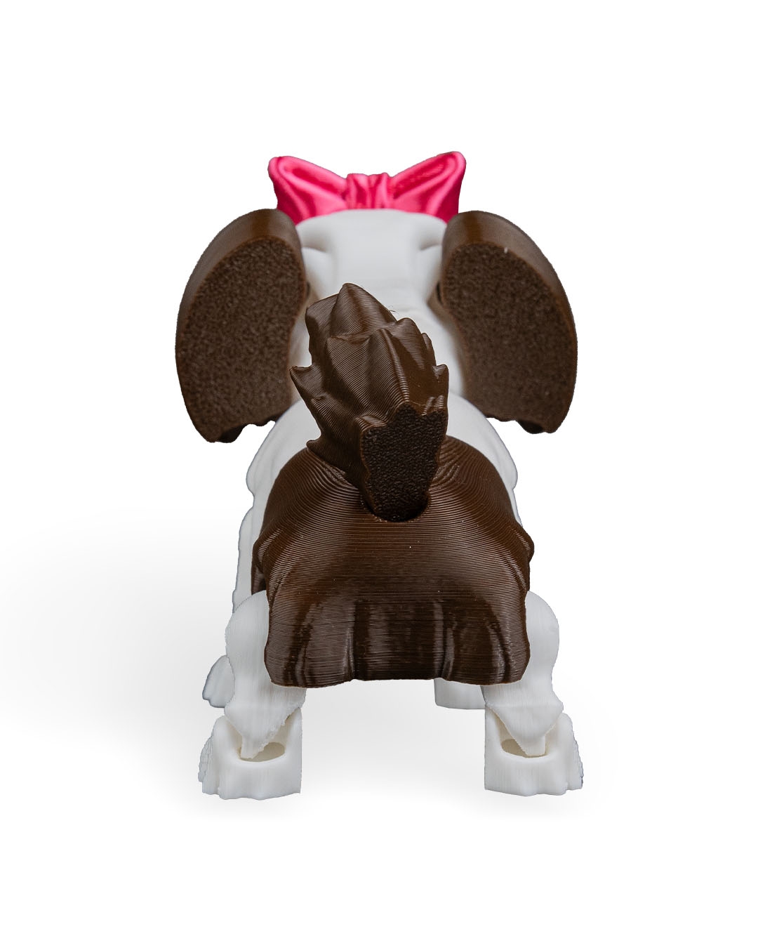 Rachel, the Shih Tzu - Image 17