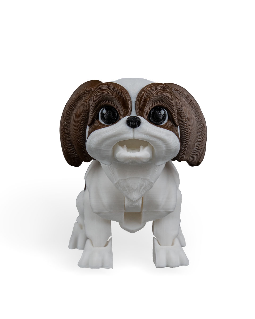 Rachel, the Shih Tzu - Image 19