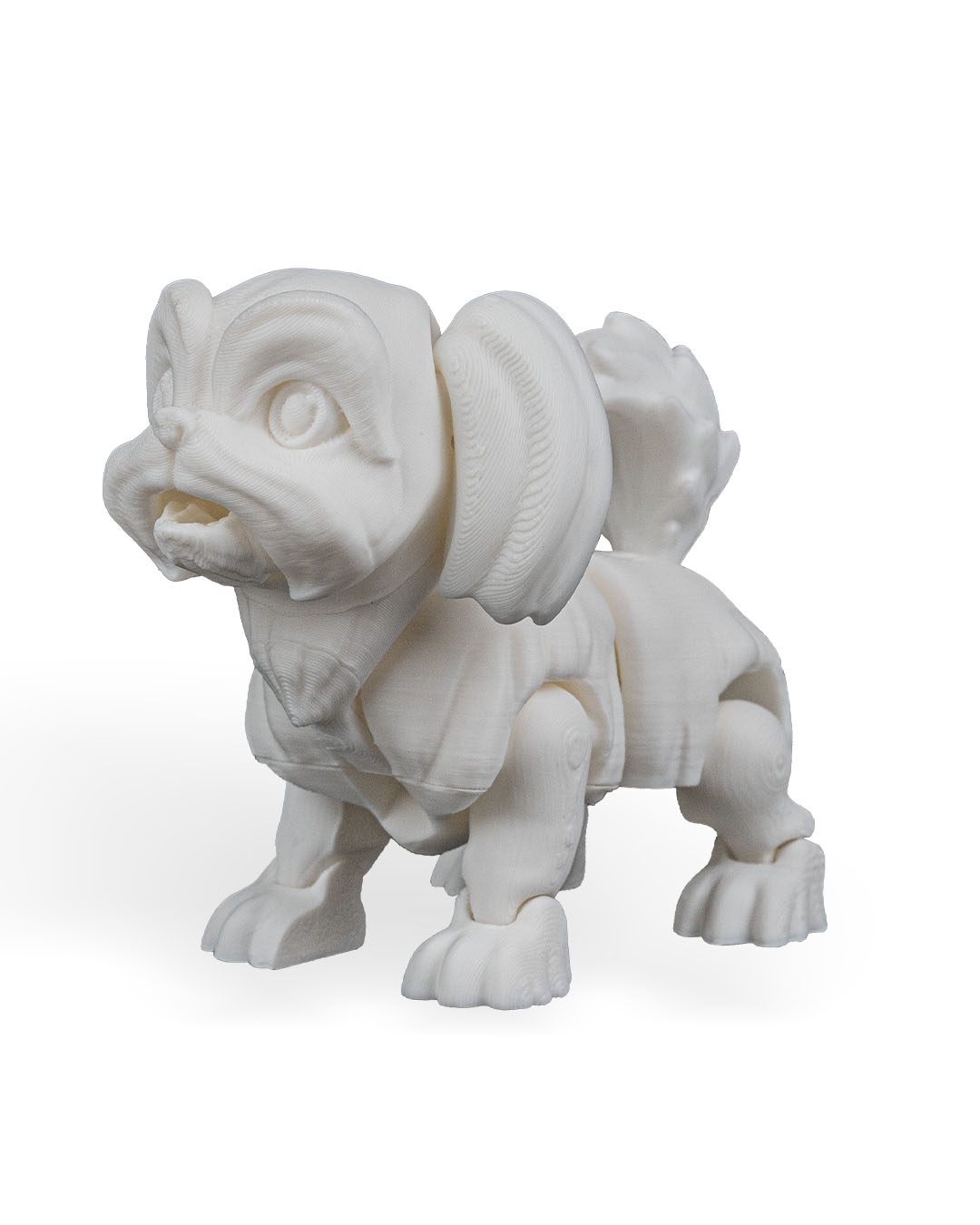 Rachel, the Shih Tzu - Image 20