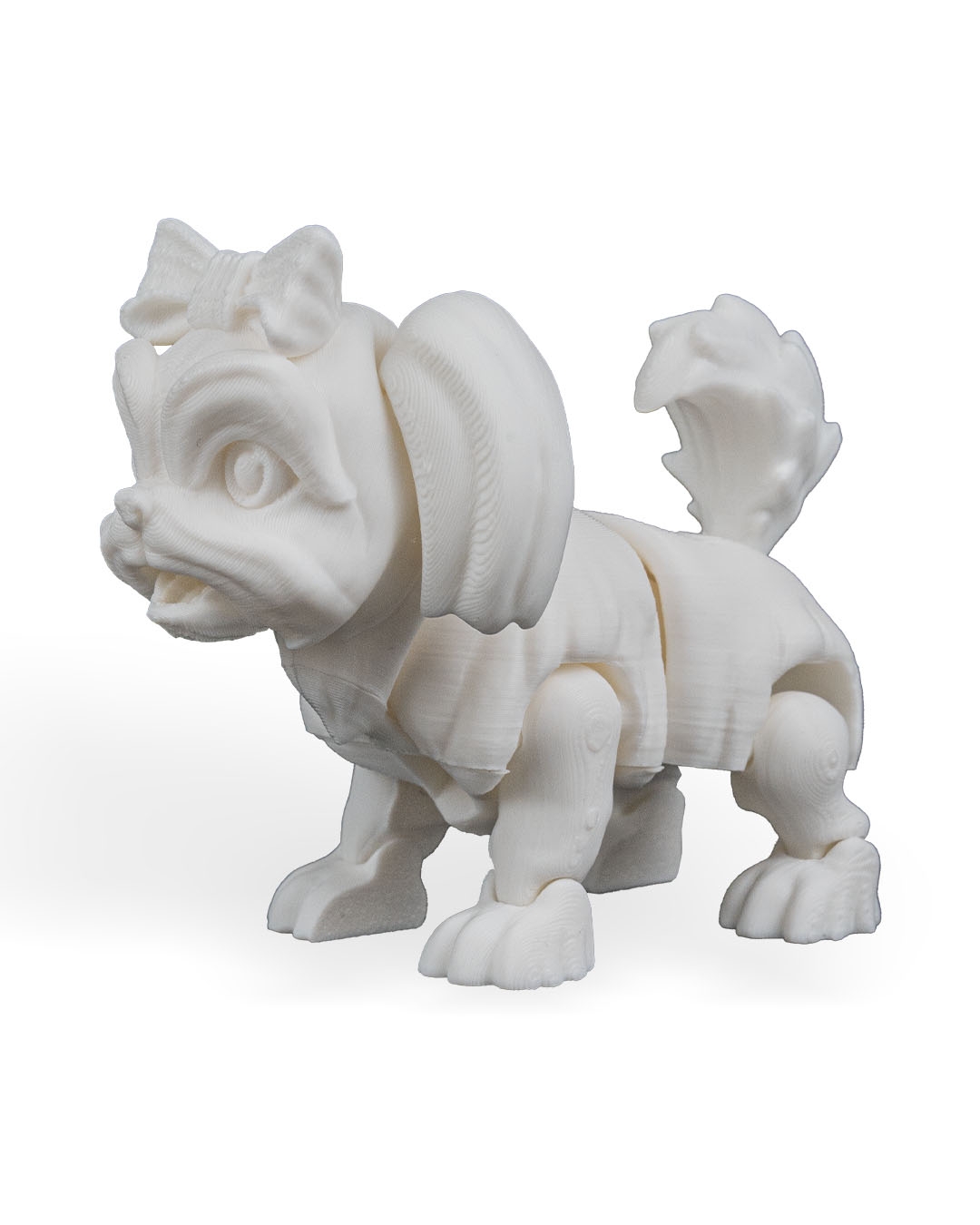 Rachel, the Shih Tzu - Image 21