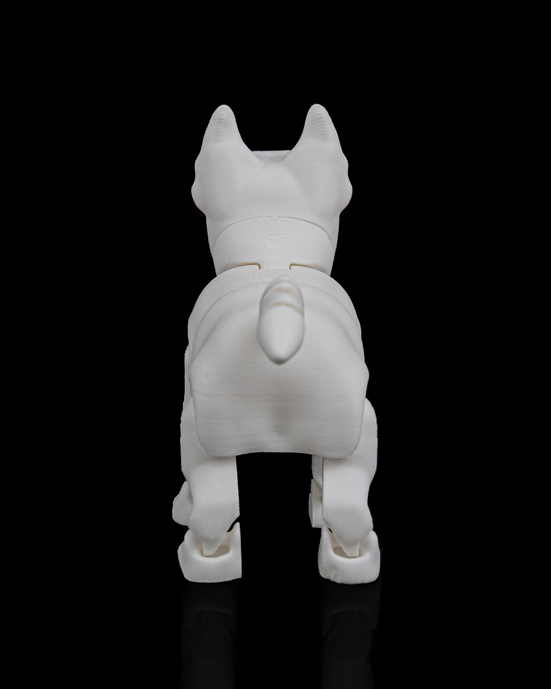 Rex, the Bull Terrier - Image 6