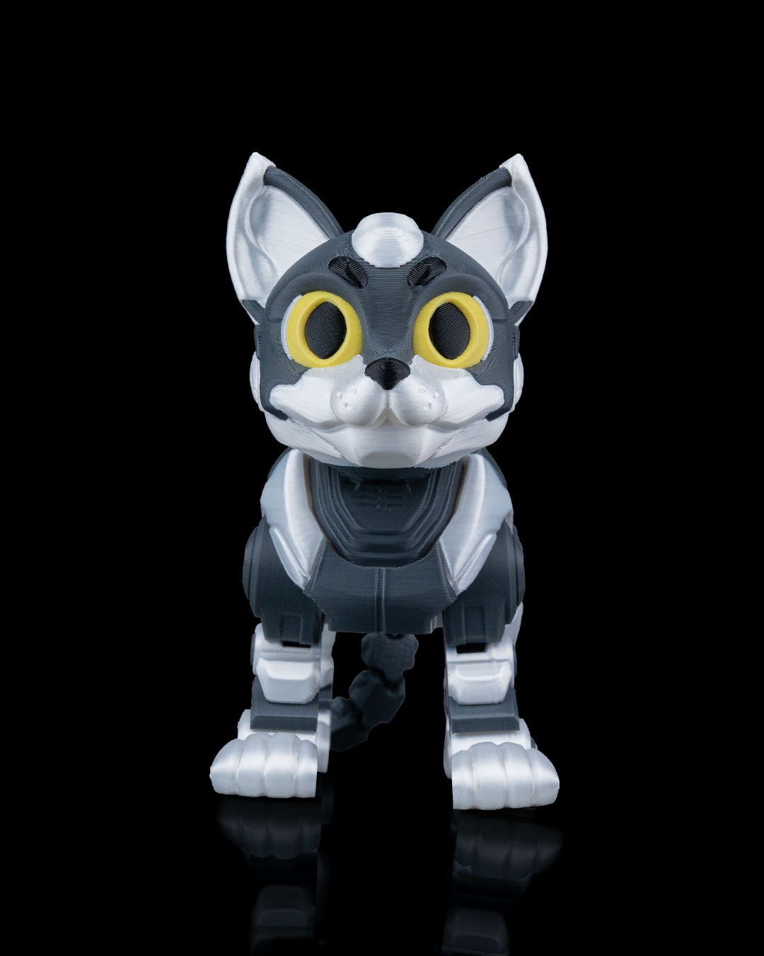 C-47
”ShadowProwler” - Image 2