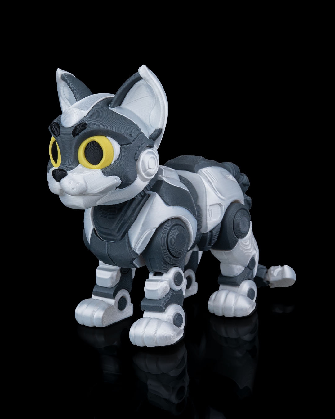 C-47
”ShadowProwler” - Image 3