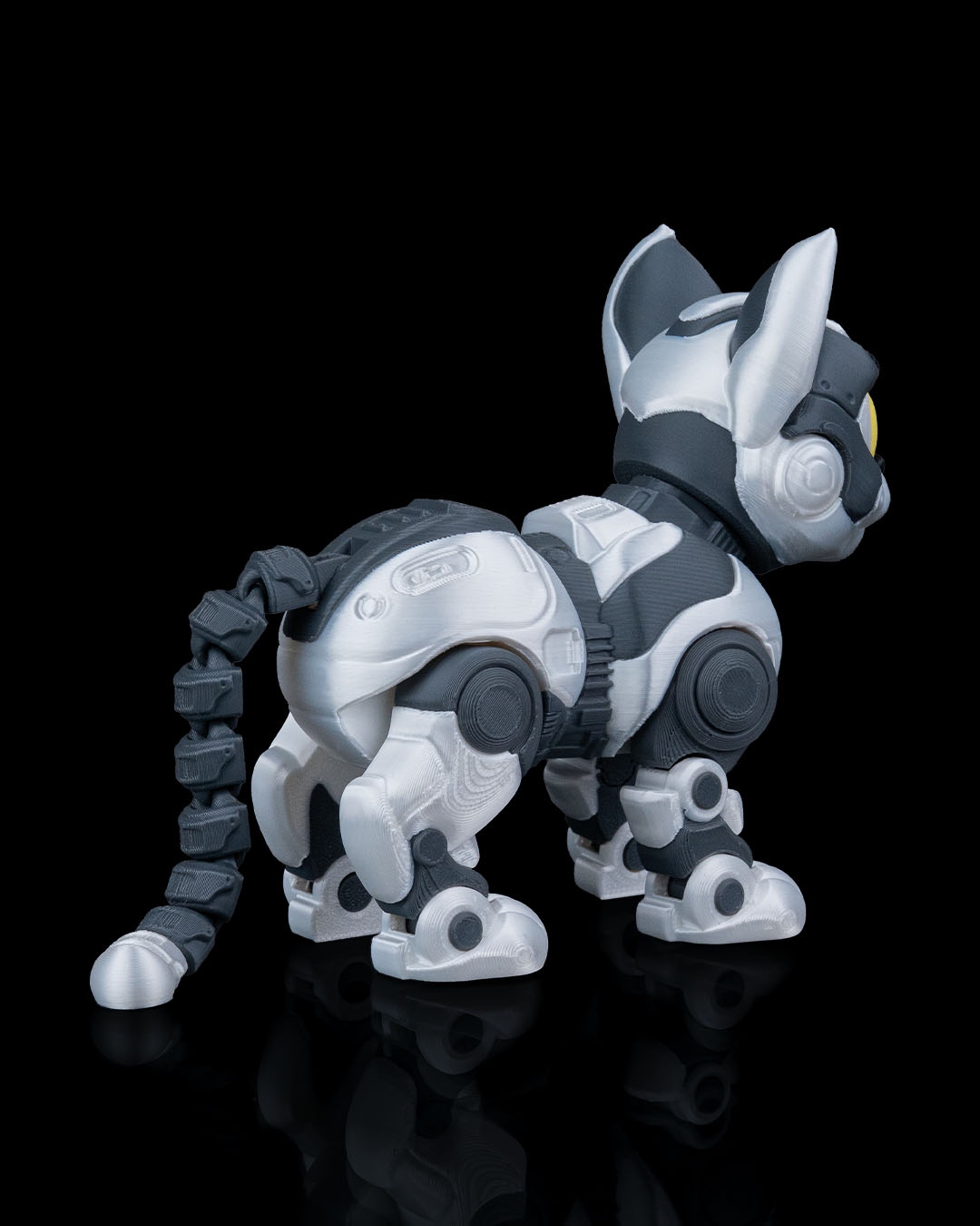 C-47
”ShadowProwler” - Image 6