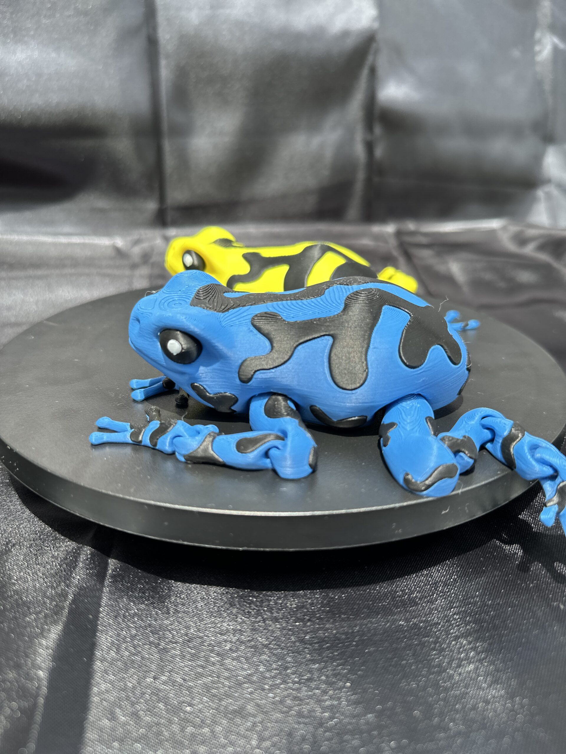 Darcy, the Poison Dart Frog - Image 4